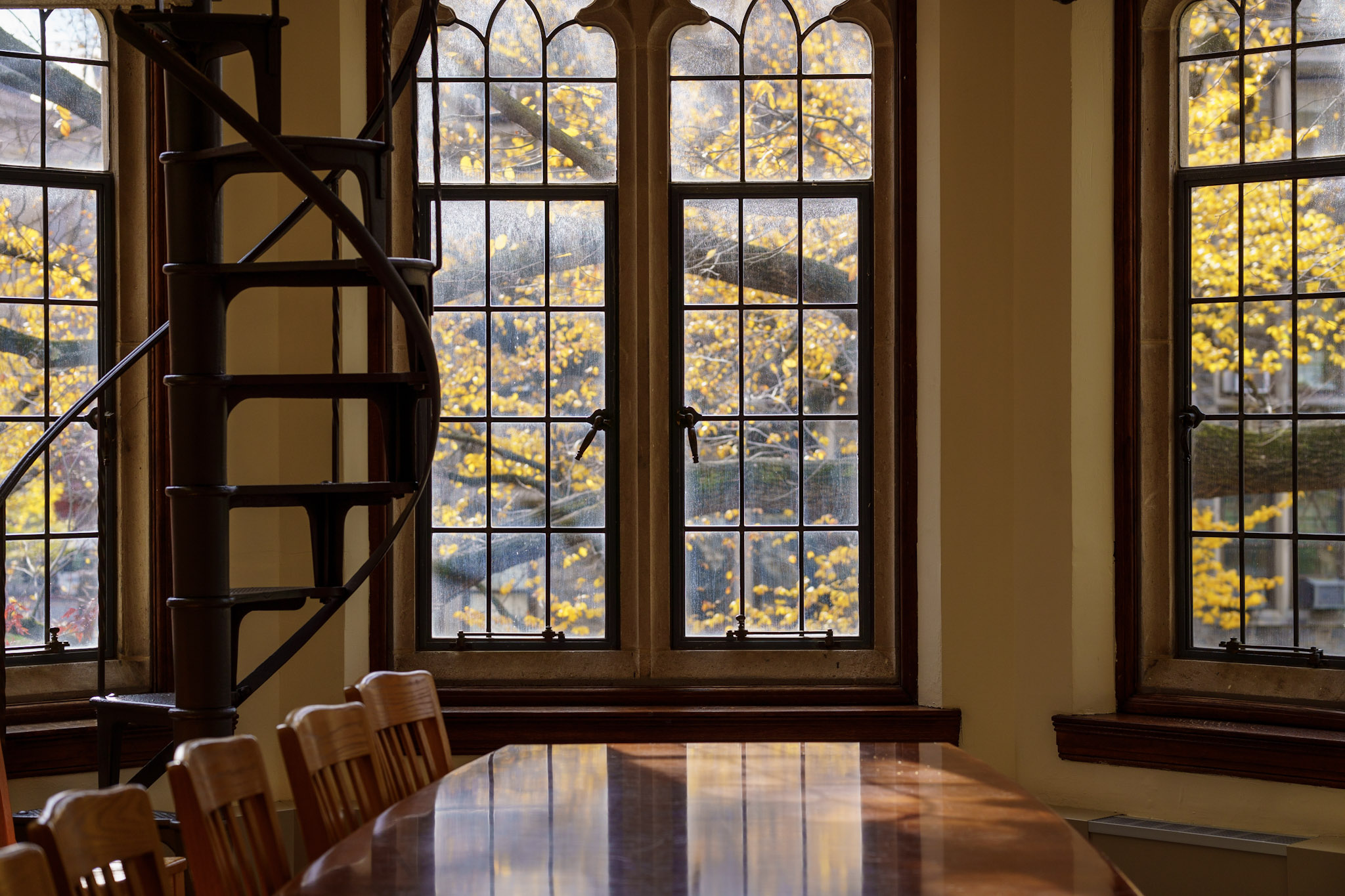 Graduate student researching in a library